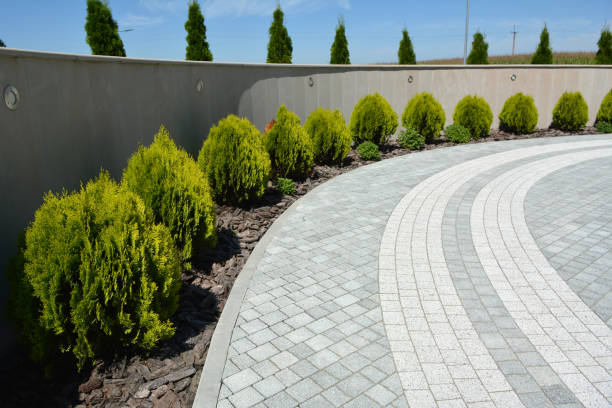 Best Driveway Paving Contractor  in Tarrant, AL