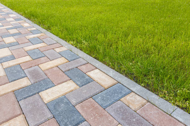 Best Custom Driveway Pavers  in Tarrant, AL